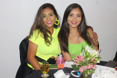 Aniversario_Silvana-Souza-241