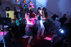 Aniversario_Silvana-Souza-244
