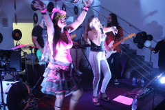 Aniversario_Silvana-Souza-245