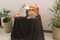 Aniversario_Silvana-Souza-37