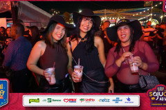 Terca-do-Arrocha-Arraia-do-Povo-no-Ajufest-10.06-80