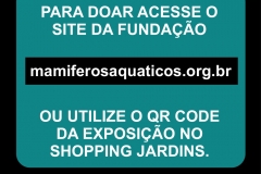 POSTS - CAMPANHA LIMPE ESSA MANCHA.cdr