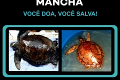 POSTS - CAMPANHA LIMPE ESSA MANCHA.cdr
