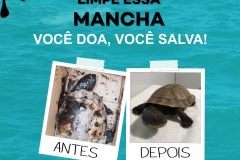 POSTS - CAMPANHA LIMPE ESSA MANCHA.cdr