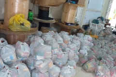 4-LIVE-SOLIDÁRIA-ALIMENTOS