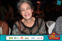Arraia-do-Povo-02.06.2026-Ajufest-45