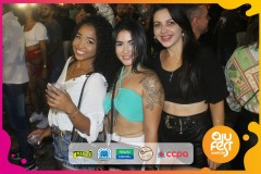 Samba-de-Verdade_arena_ajufest-42