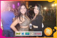 Samba-de-Verdade_camarote_ajufest-130