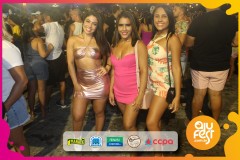 Samba-de-Verdade_camarote_ajufest-137