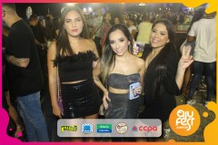 Samba-de-Verdade_camarote_ajufest-148