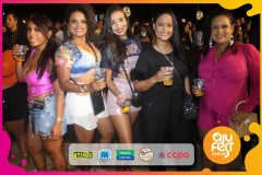 Samba-de-Verdade_camarote_ajufest-35