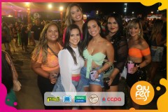 Samba-de-Verdade_camarote_ajufest-46