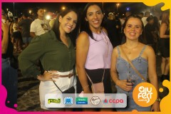 Samba-de-Verdade_camarote_ajufest-66