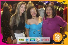 Samba-de-Verdade_camarote_ajufest-67