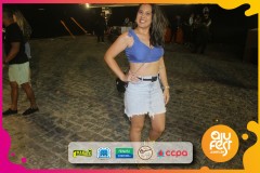 Samba-de-Verdade_camarote_ajufest-79