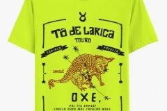 Soul-Dila-Zodíaco-Touro